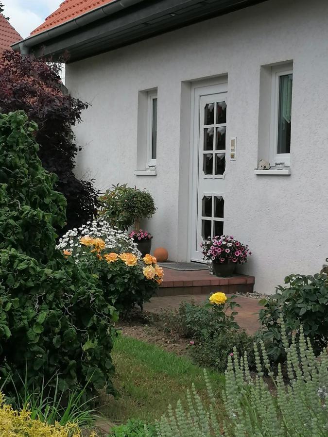 Appartement Fam. M.Lehmann Heringsdorf Dış mekan fotoğraf
